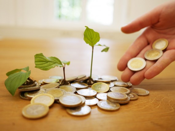 Geld-Pflanze-Fundraising RoboAdvisor auf Pixabay.jpg